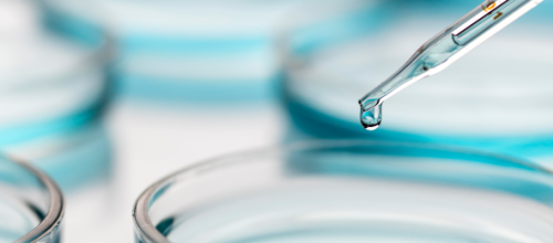 Жидкие питательные среды в микробиологии